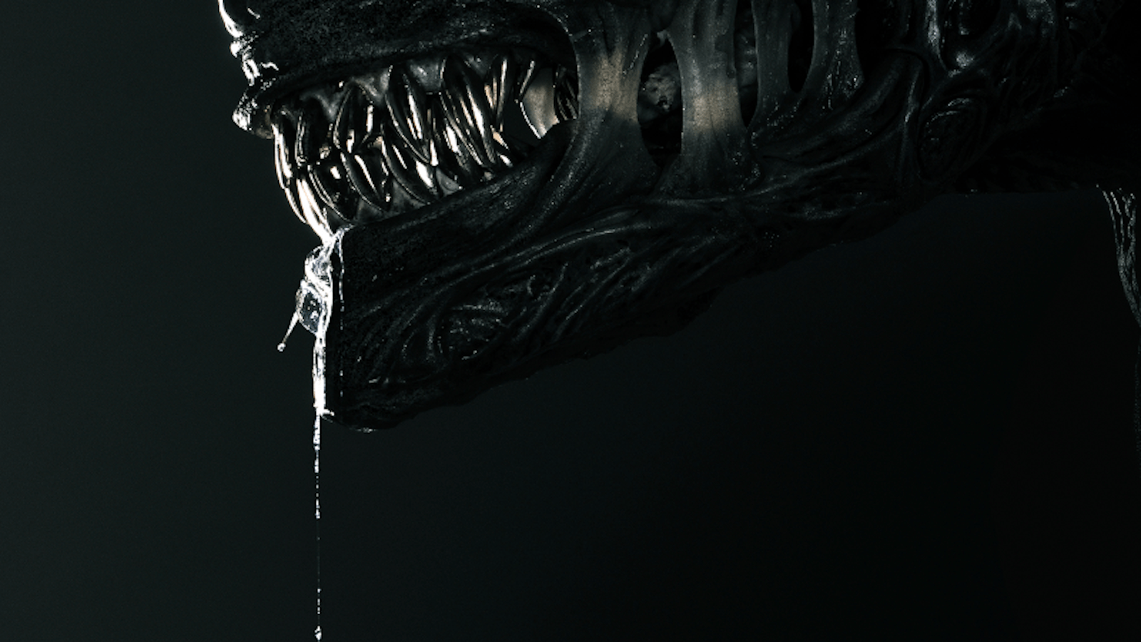 Robert Bobroczkyi: 7'7" Basketball Player In 'Alien: Romulus'