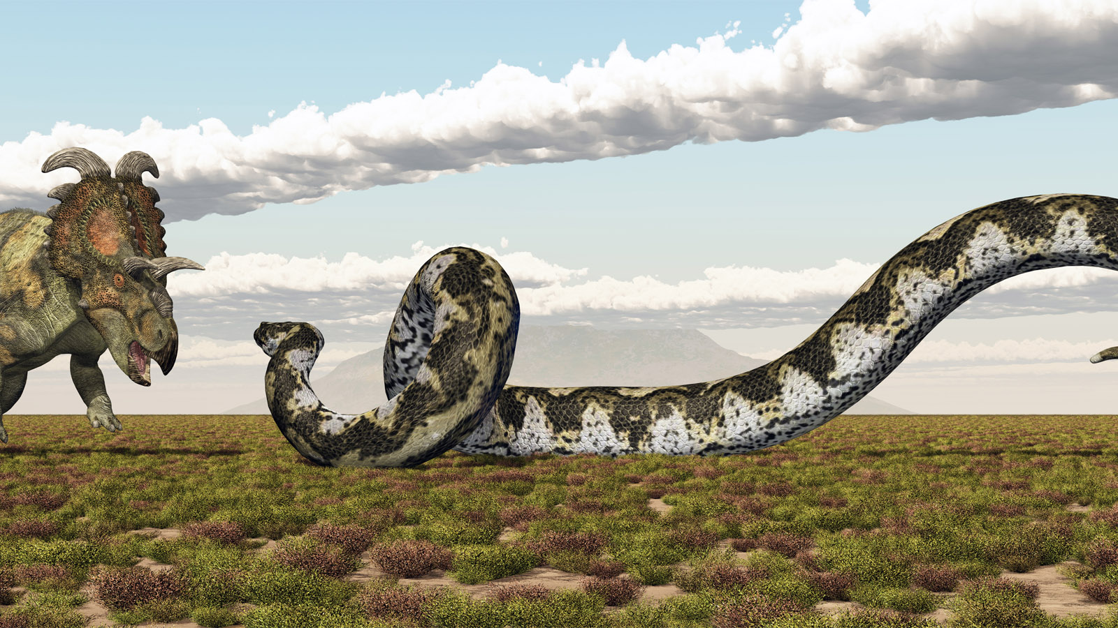 50-Foot-Long Prehistoric Snake May Be Largest That Ever Lived