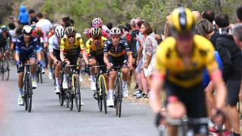 Major Cycling Crash Takes Out Tour De France Favorites Vingegaard, Roglic And Evenepoel