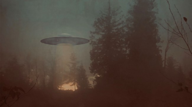 UFO in the morning forest twilight