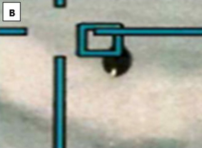 UFO sensor imagery captured by the Eglin-based fighter pilot