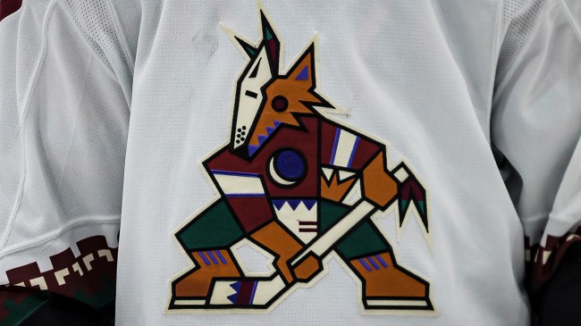 Arizona Coyotes jersey