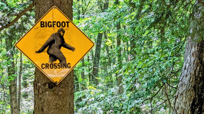 bigfoot crossing sign in woods