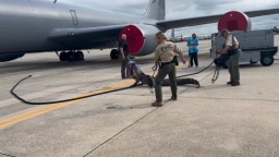8-Foot Alligator Sneaks Onto Air Force Base In Florida And Claims The KC-135 Stratotanker As Its Own