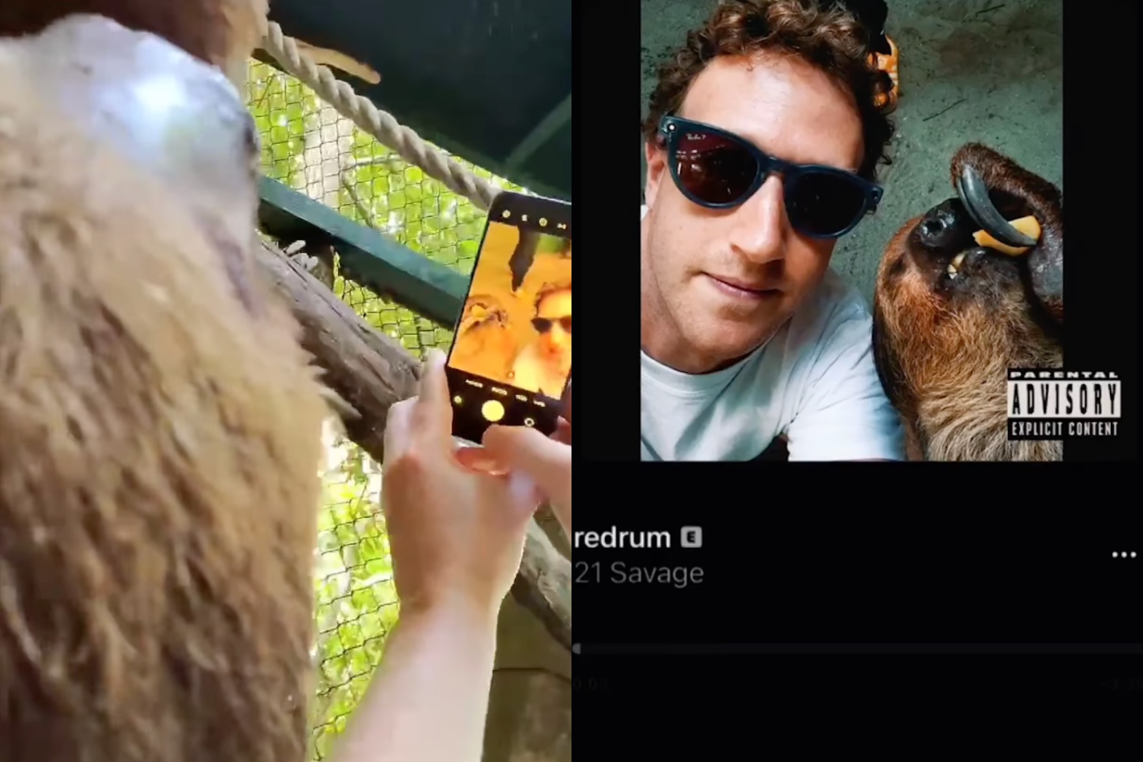 Mark Zuckerberg selfie with a sloth