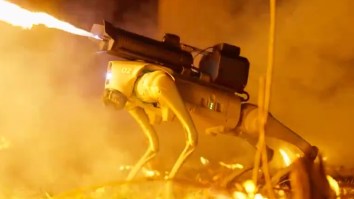 This Robot Dog With A Flamethrower Attached To Its Back Is A Terrifying Glimpse At The Future