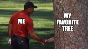 Tiger Woods shaking hand with a tree at The masters