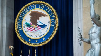 Feds Seize Millions In Sports Cars In Massive Bust Of Alleged Cybercrime Ringleader