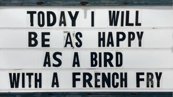 Here Are The 51 Funniest New Memes You Need To See This Wednesday