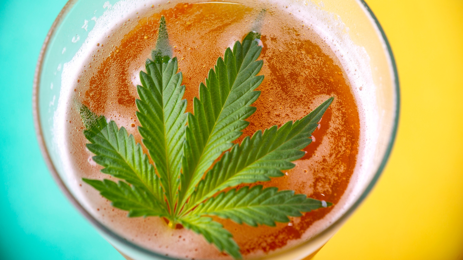 Marijuana leaf sitting on a cold glass of beer