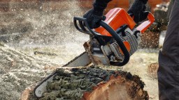 People Are Absolutely Horrified To Find Out Why Chainsaws Were Actually Invented