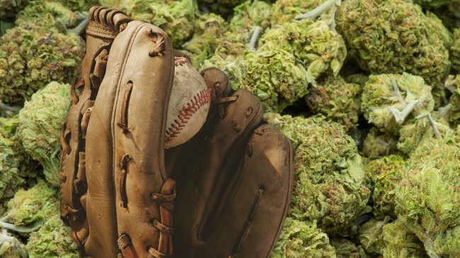 baseball glove on marijuana buds