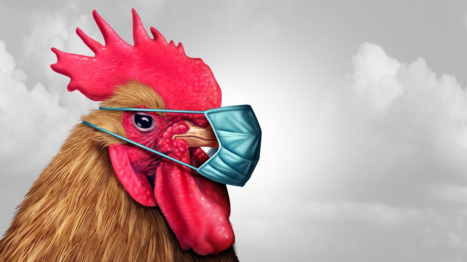 A Bird Flu Pandemic Is Coming, Says An Ex-CDC Director