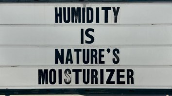 52 Of The Absolute Best New Memes To Start The Week Off Right