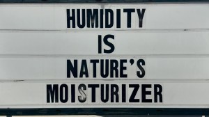 funny meme about humidity