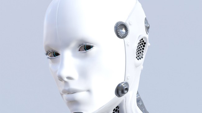 humanoid robot face