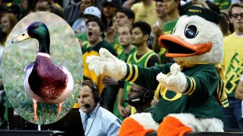 Oregon’s Brand-New Basketball Court Features Questionable Design Flaw Involving Ducks Mascot