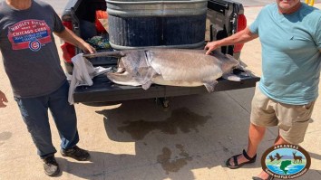 Arkansas Sets New State Fishing Record After Snagging 127+ Pound Paddlefish That Looks Like A Dinosaur