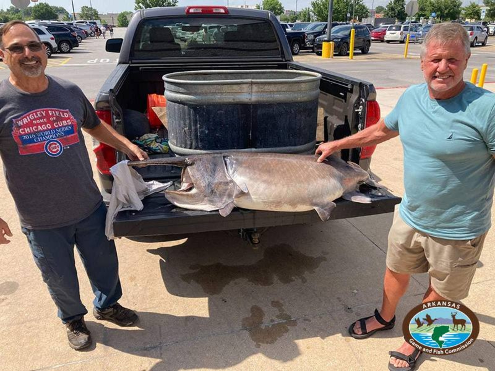 Arkansas state fishing record for paddlefish