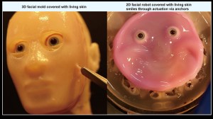 robot faces made from living human skin cells