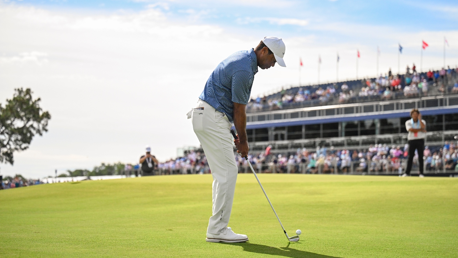 Tiger Woods chipping at Pinehurst No 2