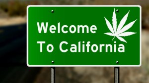 Welcome to California highway sign with marijuana leaf