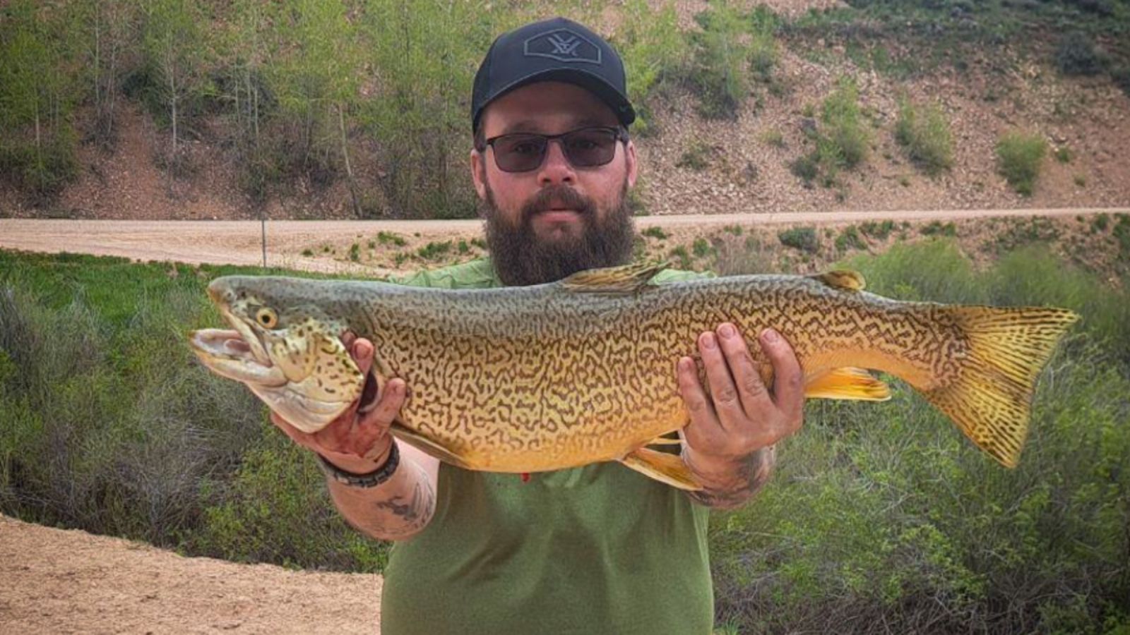 new Idaho tiger trout fishing record