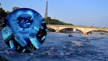 French Official Slips And Falls During Symbolic Swim To Prove Poop Water Is Safe For Olympics