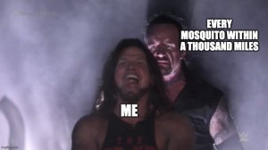 funny meme about Summer mosquitoes