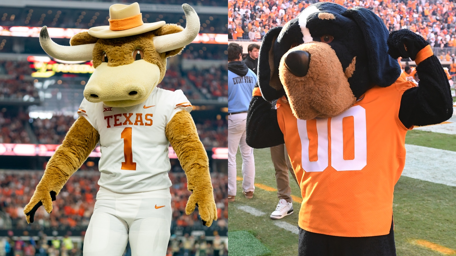 University of Texas and University of Tennessee mascots facing off
