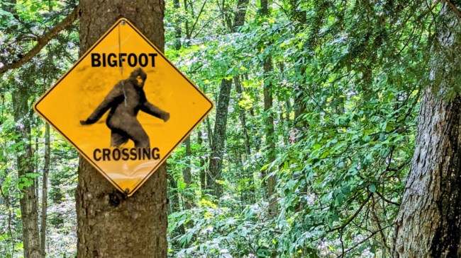 Bigfoot Crossing Sign in the Woods