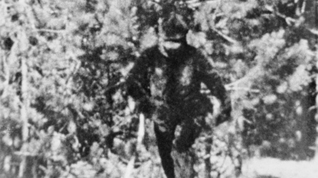 Bigfoot photo in northern California by Thomas Biscardi