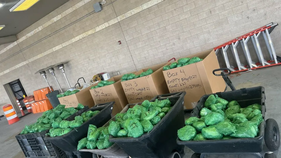 Federal Officers Seize Record-Breaking $48 Million Worth Of Meth