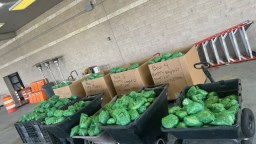 Feds Seize Record $48 Million Worth Of Meth Hidden In Lettuce Shipment