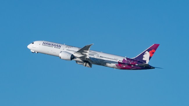 A Hawaiian Airlines flight in the air.