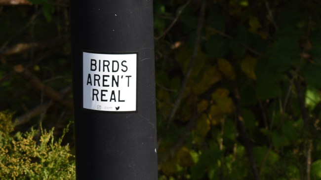 birds arent real sign on a utliity pole