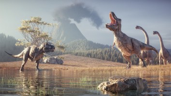 Matching Dinosaur Footprints Have Been Discovered On Two Different Continents