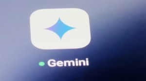 google gemini at dear sydney ad