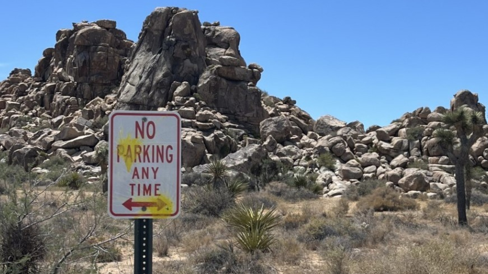 Joshua Tree National Park paintball damage