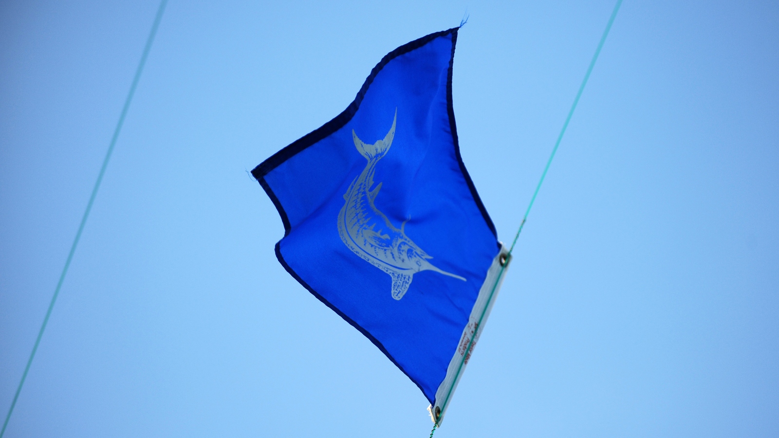 marlin fishing flag