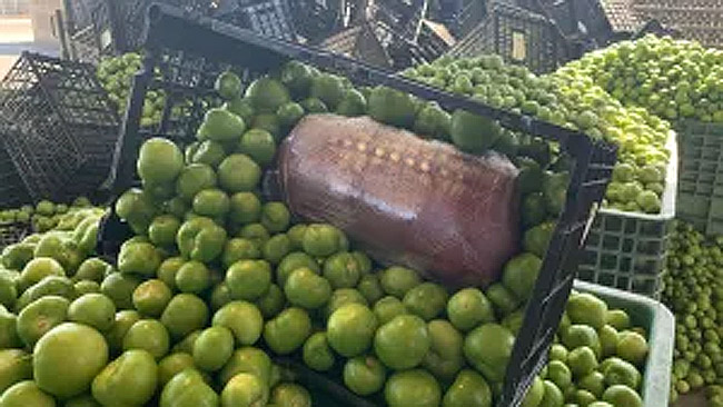 methamphetamine hidden in a shipment of fresh tomatillos