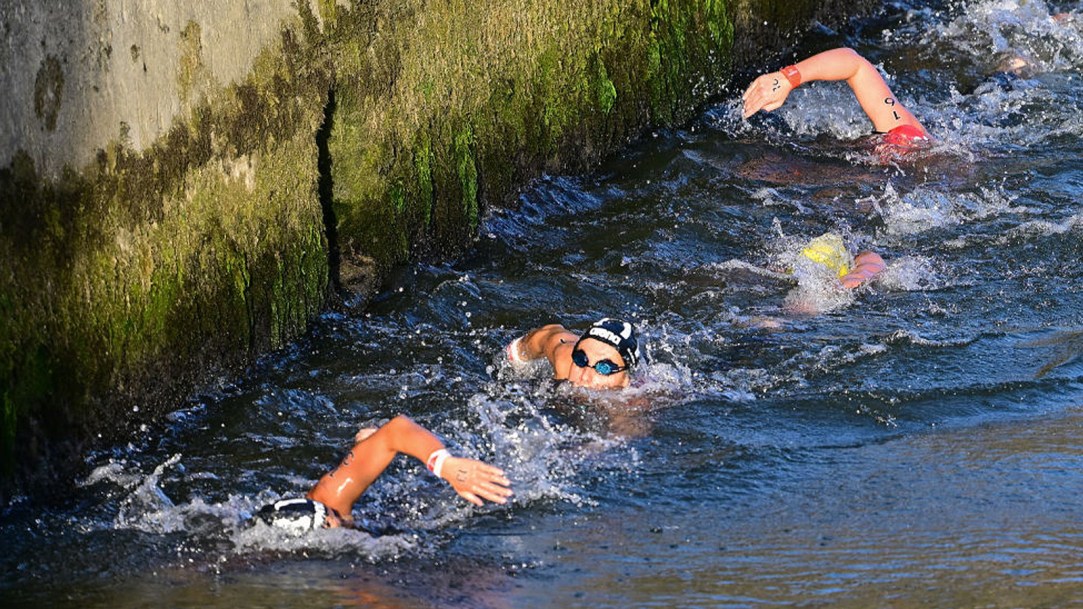 Olympics Swimming Bacteria E. coli Poop Sewage