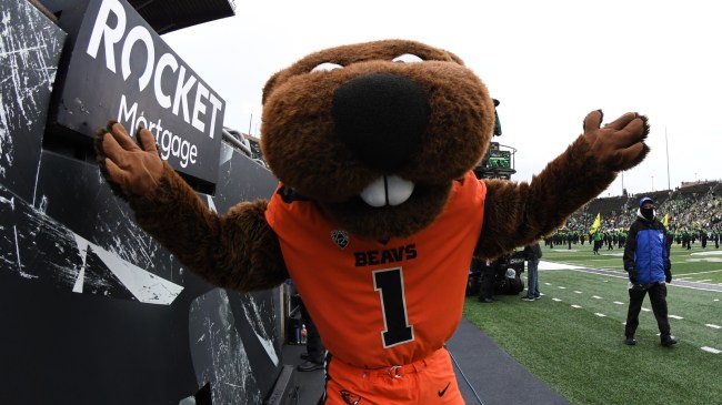 Oregon State Beavers mascot, Benny, on the sidelines during a game against the Oregon Ducks.