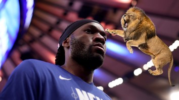 Knicks’ Precious Achiuwa Grabs The Tails Of 2 Lions In Zambia And Goes For A Stroll