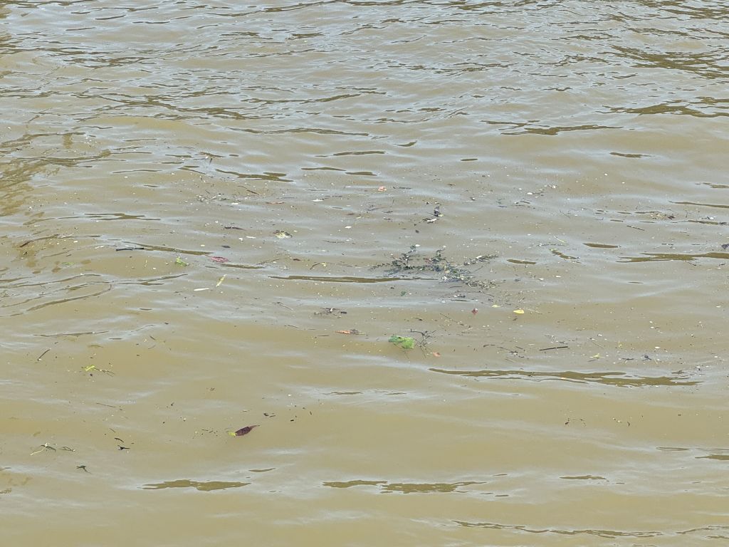 Seine River Paris France Olympics Bacteria