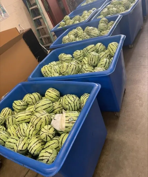 meth disguised as watermelons