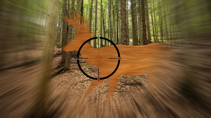 wooden deer target