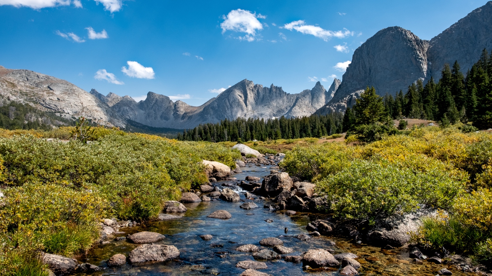 trout fishing stream in Wyoming