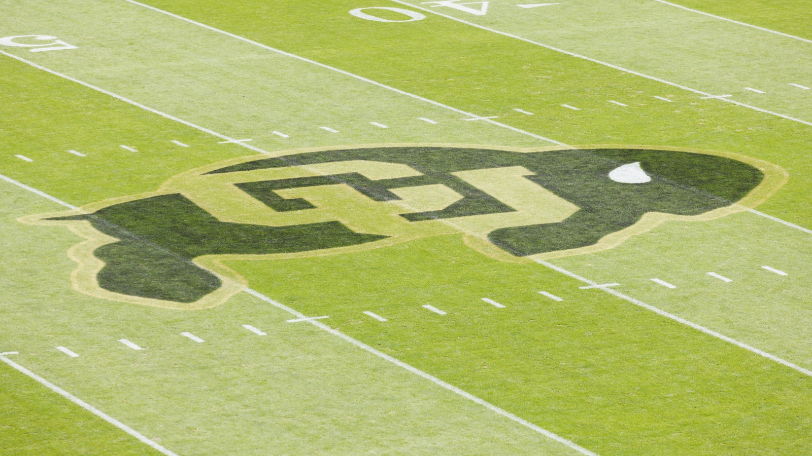 colorado-football-coaches-alleged-fight-video-released