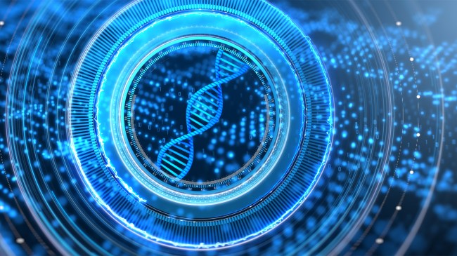 DNA Analysis Computer HUD Test